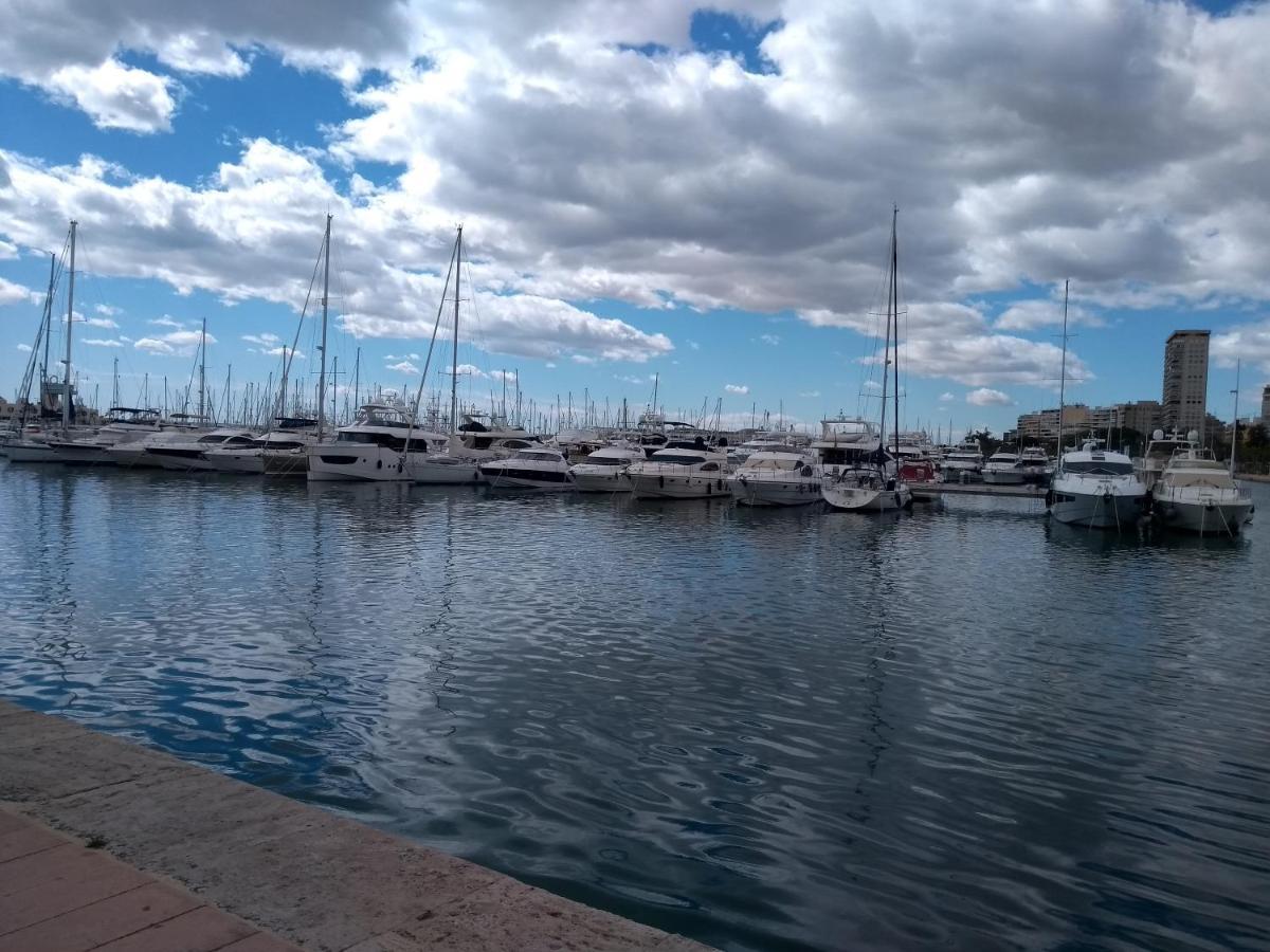 La Estrella De Appartement Alicante